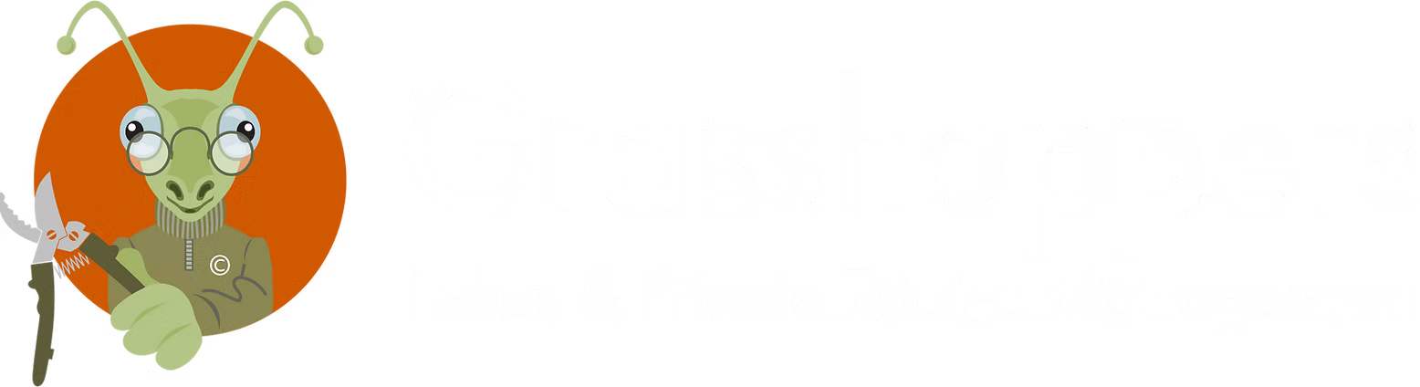 Grasshoppers